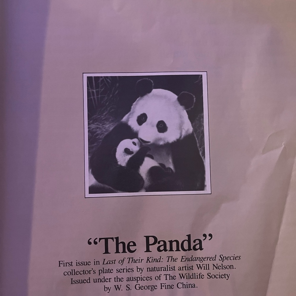 Bradford Exchange Collectible Plate “The Panda” - Picture 3 of 4